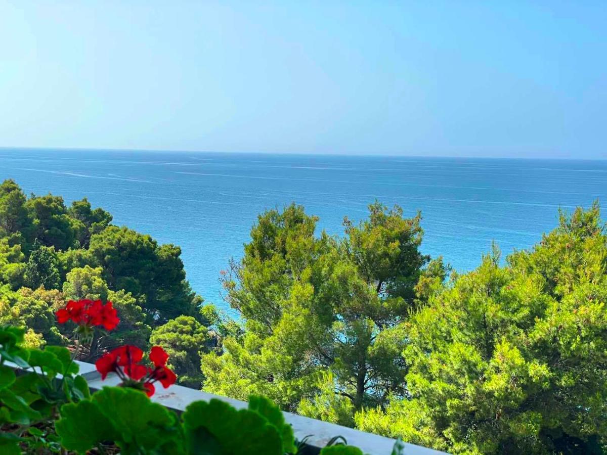 Corpus B - Hotel Albatros Ulcinj Exteriér fotografie